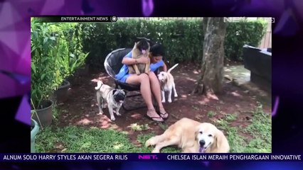 Inilah Klarifikasi Melanie Subono Tentang Anjingnya yang Mati