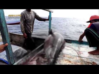 세계테마기행 - 영혼의 섬, 플로레스 1부 적도열정, 참치잡이에 나서다_#003
