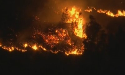 Korban Kebakaran Hutan Portugal Bertambah Jadi 64 Orang