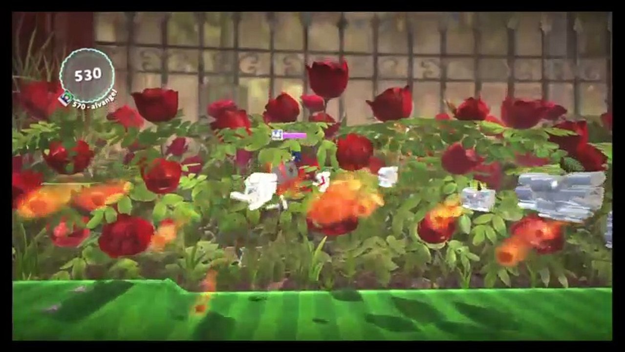 LbpSonicraft (308)