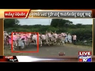 Bullock Cart Race Accident Victim Dead