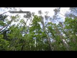 Keindahan Wisata Hutan di Polandia - IMS