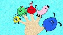 Finger Family Monsters _ Monsters  _ Nursery Rhymes for Children