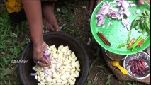 Healthy Village Foods ❤ Garlic Curry prepared in my Village by my Mom