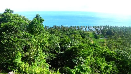 BULEVAR DEL ATLANTICO(MIRADOR) LAS TERRENAS PROVINCIA SAMANA REGION NORDESTE REPUBLICA DOMINICANA.