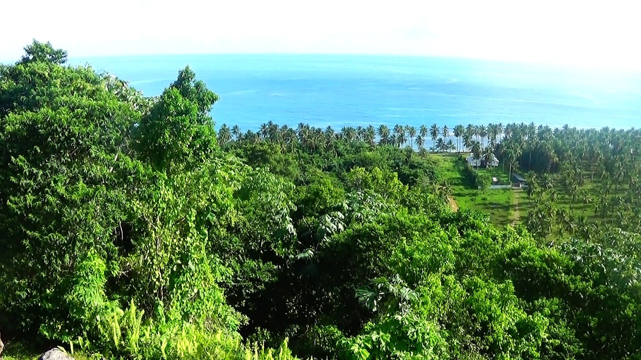 BULEVAR DEL ATLANTICO(MIRADOR) LAS TERRENAS PROVINCIA SAMANA REGION NORDESTE REPUBLICA DOMINICANA.