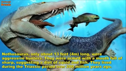 Más mortífero monstruos la mayor parte prehistórico Mar espantoso 10