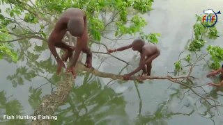 Funny Videos    Kids swimming jump 4m tree in beauty of village canal    Children swim n enjoy
