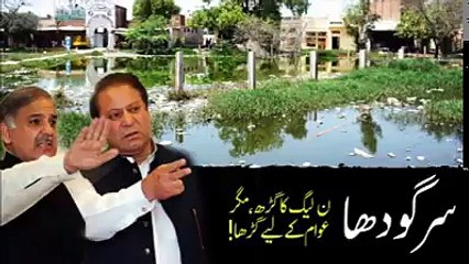 Public Views About The Miserable Living Standards of Sargodha City Under Tajarbakar Govt