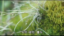세넨툰치.1