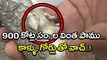 Rare Snake With Legs And Nails, 900 Crores years Breed Snake : Watch Video