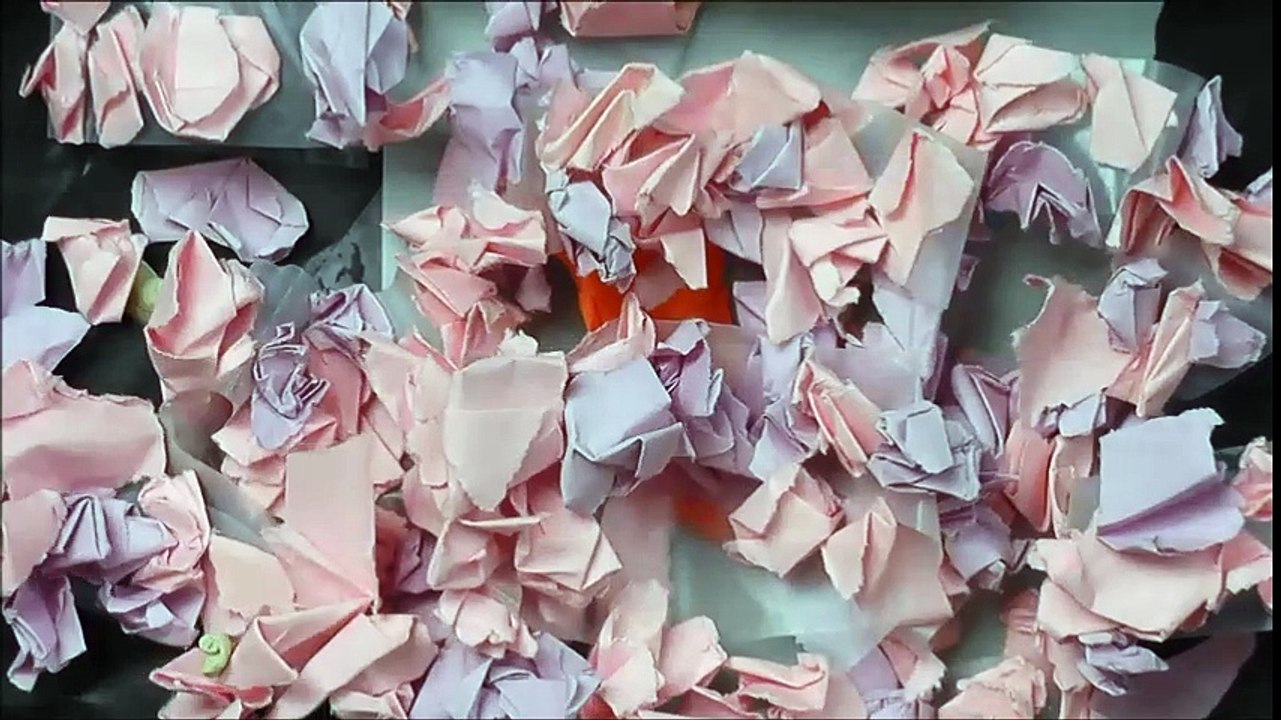 "Les poules" 1 - école François Villon - Les Studios 28 - 29/05/2017