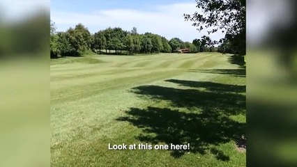 Tu t'attends pas à voir ça pendant ta partie de golf... Fou