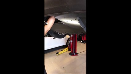 Ce mécano sort un adorable chaton du pare-choc d'une Tesla...