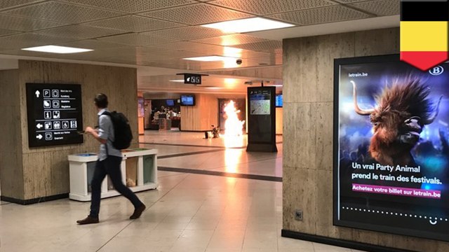 Suspected suicide bomber fatally shot after Brussels station blast
