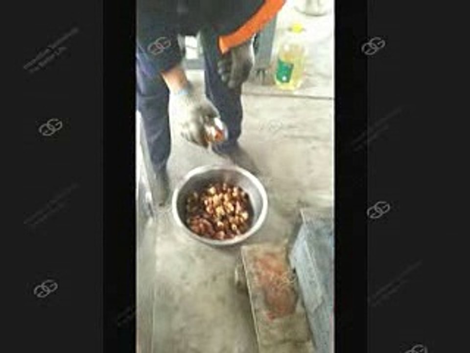 Date Palm Gringer Machine