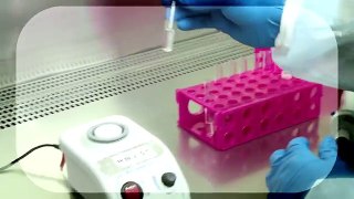 Cryoviva Cord Blood Stem Cell Bank - Testing