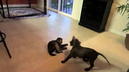 125.THATS MY BOY!_clip23