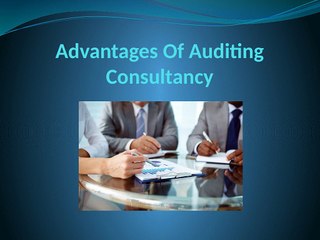 Types Of Auditing Consultancy - Christophe Mirgaux