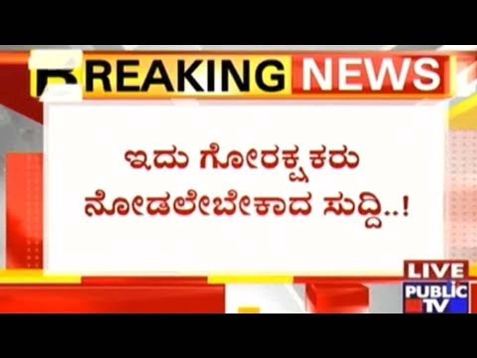 Illegal Cattle Trade On The India-Bangla Border, Cows Inhumanely Passed Across Borders