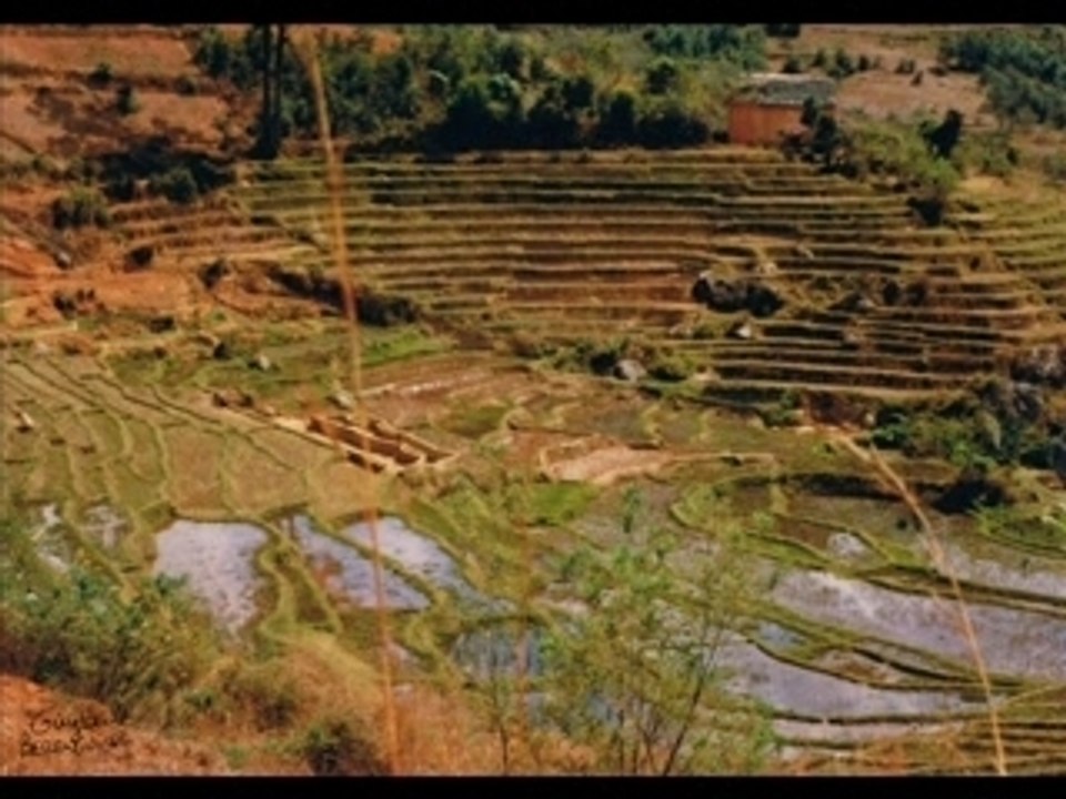 Clip photo madagascar