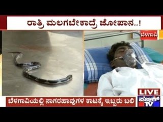 Belgaum: Cobra Scare Increased, 1 Dead In Savadatti & 1 Dead In Bailahongala