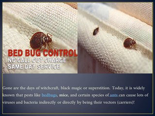 BED BUG DETECTION AND TREATMENT SERVICES