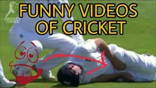 most cricket funny videos 2017 1million views
