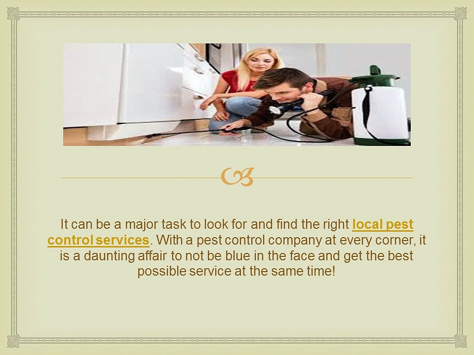 Things to Look Out For in a Pest Control Company
