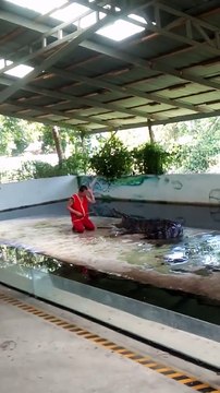 Crocodilo morde tratador | Crocodile Bites Back