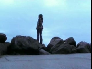 Des dauphins au port