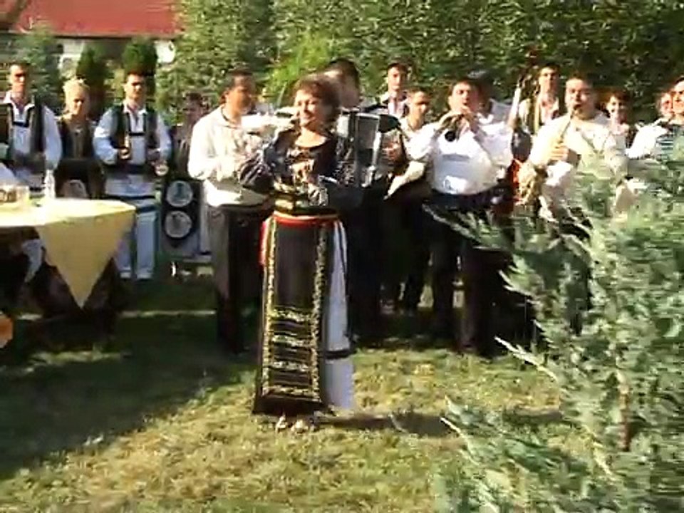 Gabi Nistor - Ce ti doresc eu tie ,dulce Romanie