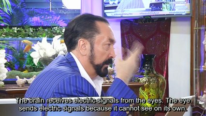 Who is it in the brain that is capable of seeing without eyes?