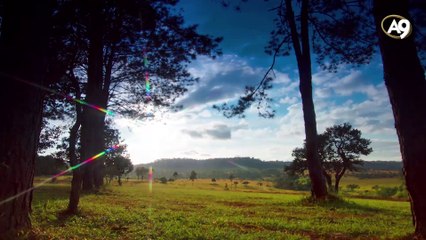 The Relativity of Time