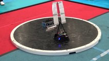 Compilation of extremely fast sumos robot fights
