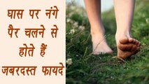 Walking Barefoot on grass, Health Benefits | घास पर नंगे पैर चलने के ज़बरदस्त फायदे | Boldsky