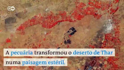 A degradação ambiental na Índia vista do espaço