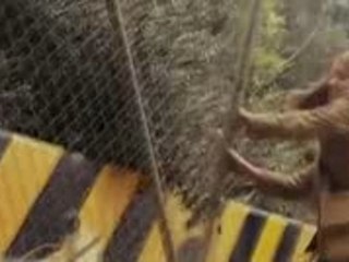 Nancy Drew Movie Clip
