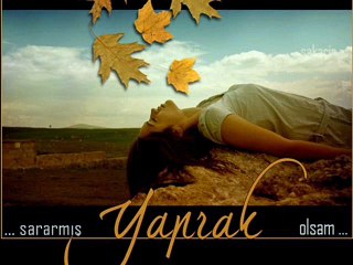 Cevdet Bagca Kırgın