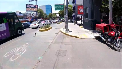 Un cycliste course un chien au milieu de la route à Mexico