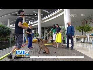 Talk Show Fun Smart Academy Part 2 - IMS