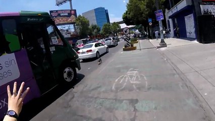 Un cycliste course un chien en pleine ville