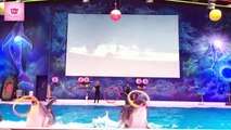 Xiếc Cá Heo Chú Voi Con Ở Bản Đôn Remix nhạc thiếu nhi vui nhôn dành cho các bé