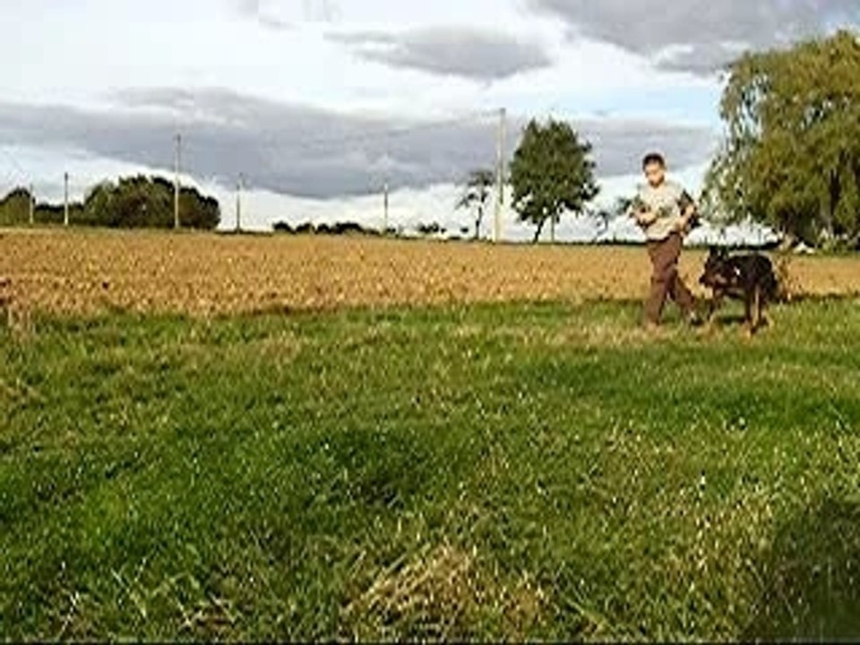 Trot