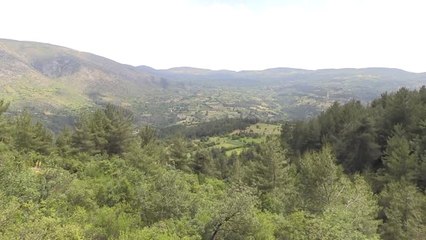 Kiraz Üreticisinden "Fiyat Tepkisi"