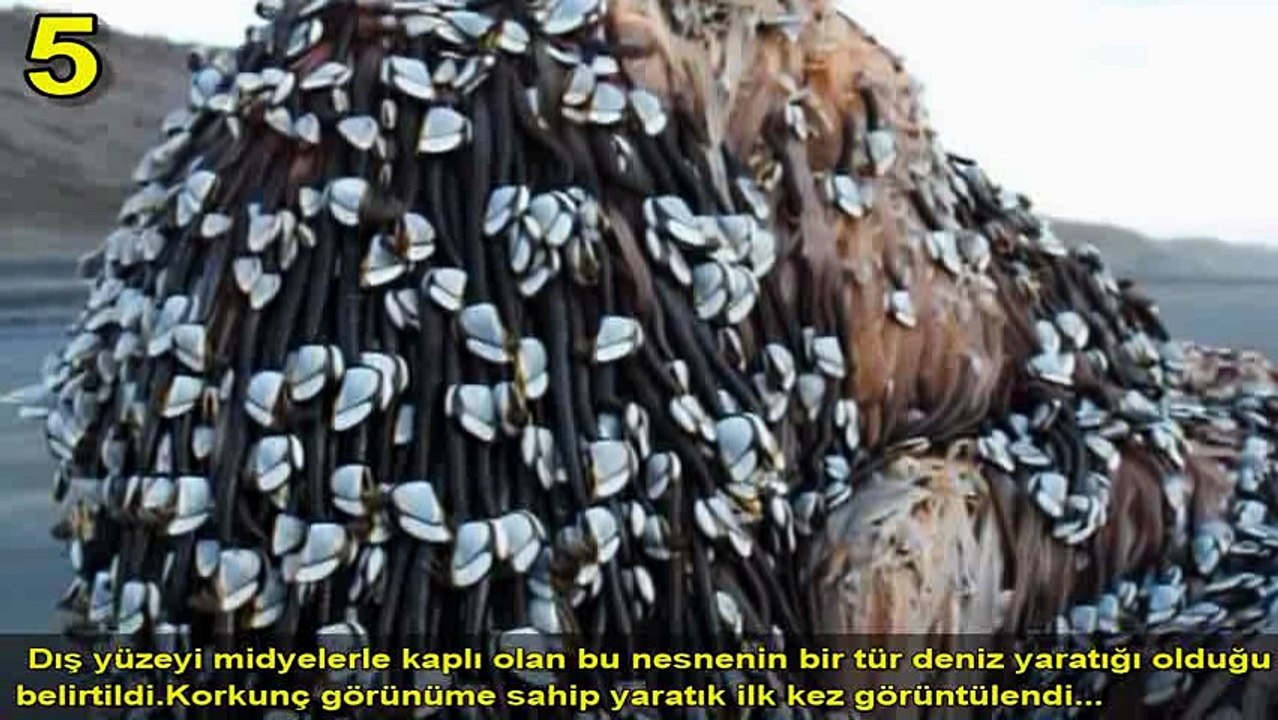 İnanmakta Zorlanacağınız Gerçekten Yaşanmış Tuhaf Ve İlginç Olay