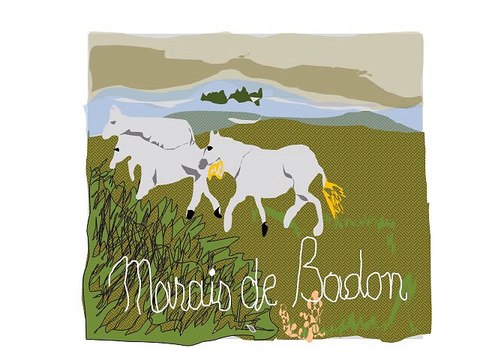 promenade en camargue