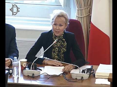 Roma - Audizione ambasciatrice Kuningas-Saagpakk (21.06.17)