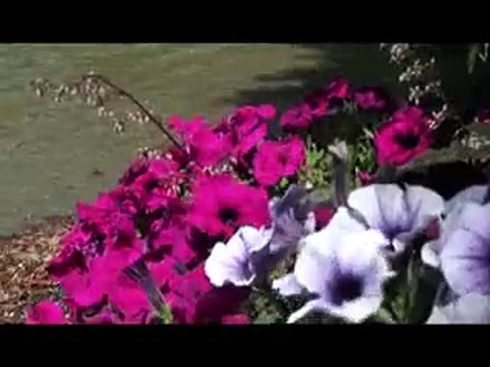 Nantua vu du ciel / Nantua from the sky