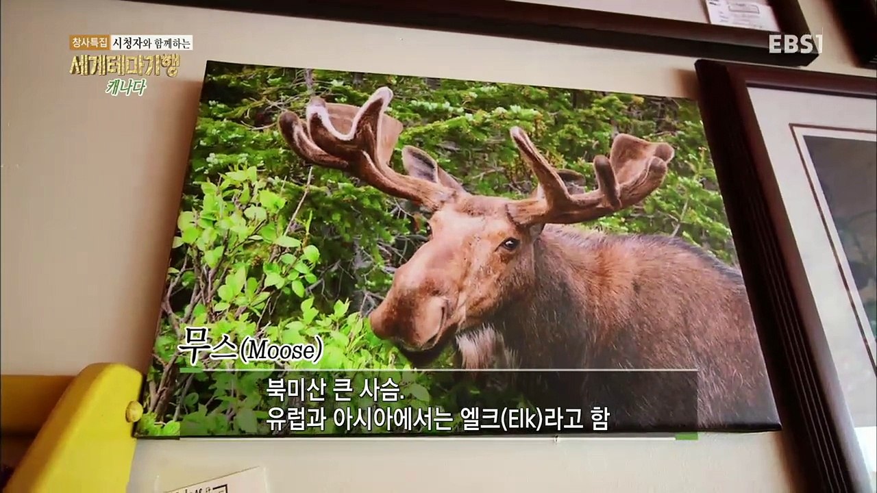 세계테마기행 - '창사특집' 시청자와 함께하는 2부- 악천후를 이겨라! 모녀, 캐나다...